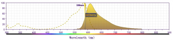 mCherry激发和发射光谱