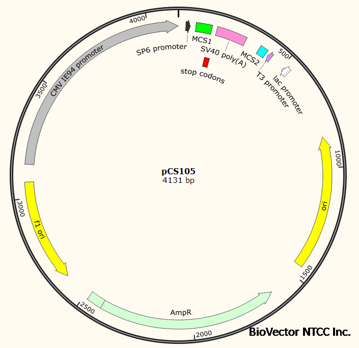 pCS105