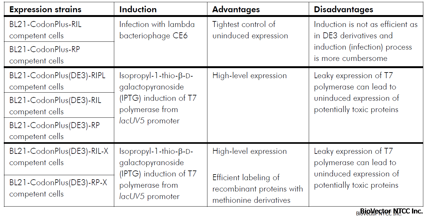 BL21 CodonPlus系列表达大肠杆菌宿主菌特性-BioVector NTCC质粒载体菌种细胞蛋白抗体基因保藏中心提供.png