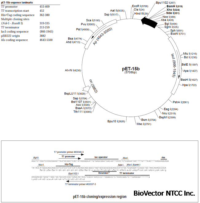 pET15b.png BioVector NTCC质粒载体菌种细胞蛋白抗体基因保藏中心http:www.biovector.net
