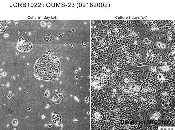 JCRB1022:OUMS-23