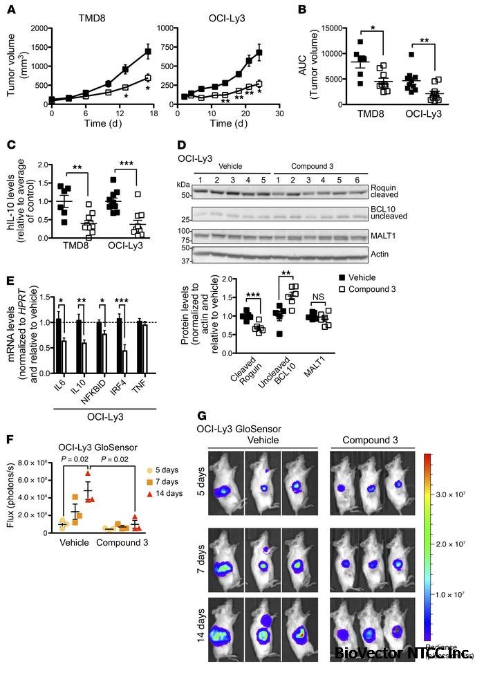 JCI - Specific covalent inhibition of MALT1 paracaspase suppresses B cell lymphoma growth