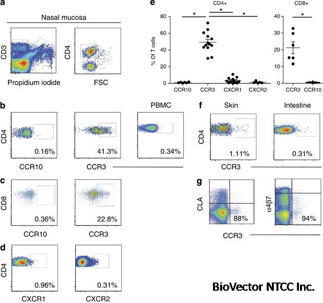 A role for CCL28–CCR3 in T-cell homing to the human upper airway mucosa | Mucosal Immunology